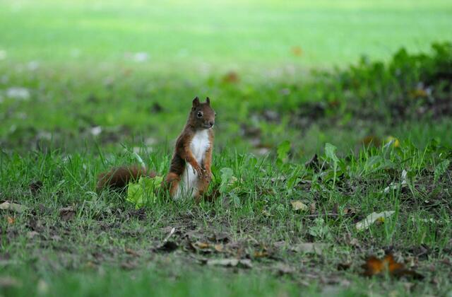 Hab dich gesehen | Foto: Daniela Somers