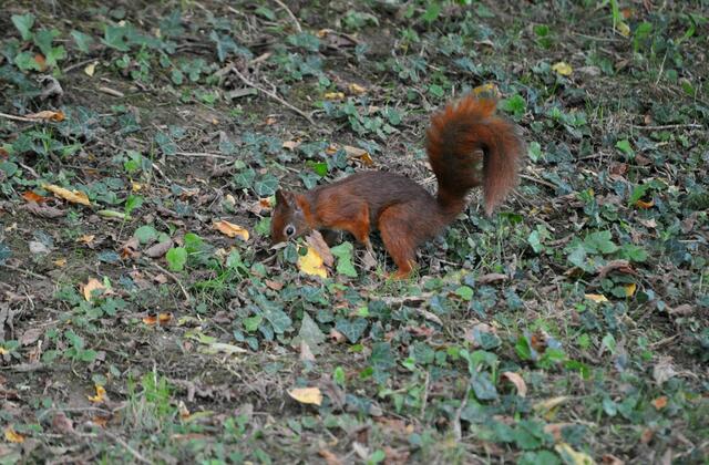 Da ist doch was | Foto: Daniela Somers