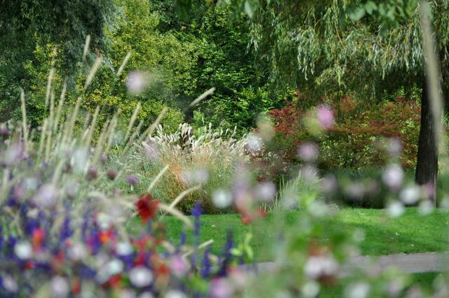 Ausblicke | Foto: Daniela Somers