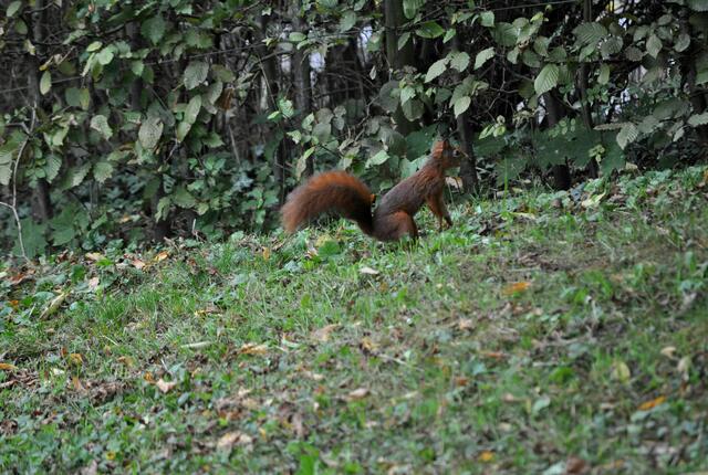 Gibts da was? | Foto: Daniela Somers