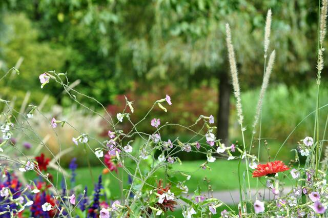 Ausblicke | Foto: Daniela Somers