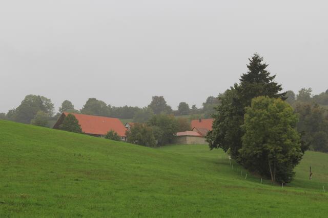 Blick auf den Lindenhof