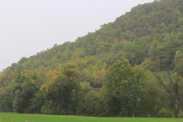 toller Ausblick