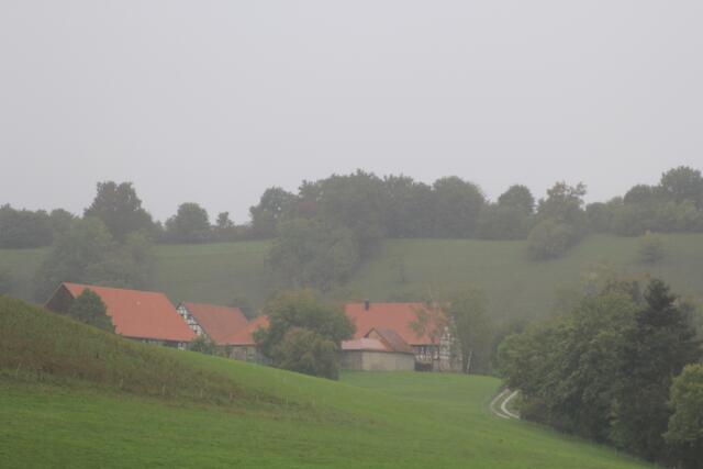Blick auf den Lindenhof