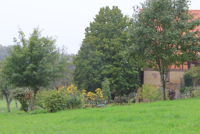 toller Bauerngarten am Lindenhof