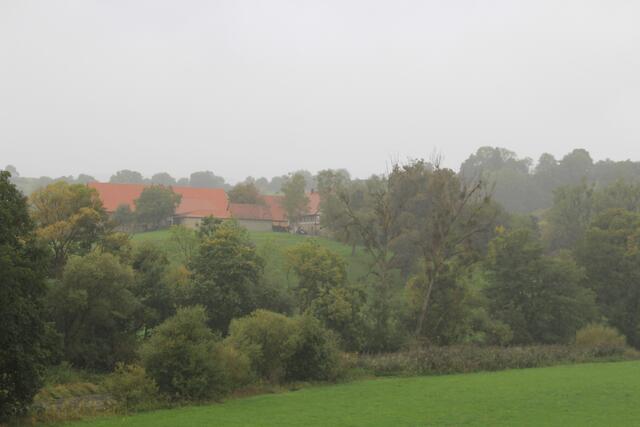 Blick auf den Lindenhof