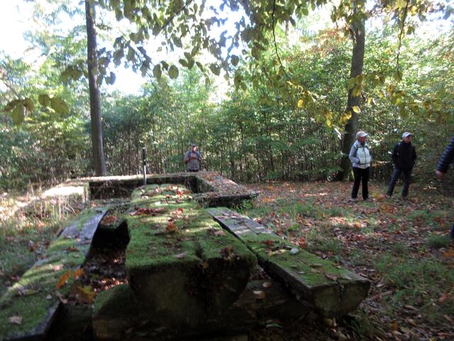 Hier hat schon lange keiner mehr Rast gemacht. Um so verwunschener mutet dieser Platz an. Drum herum viele Hexenringe