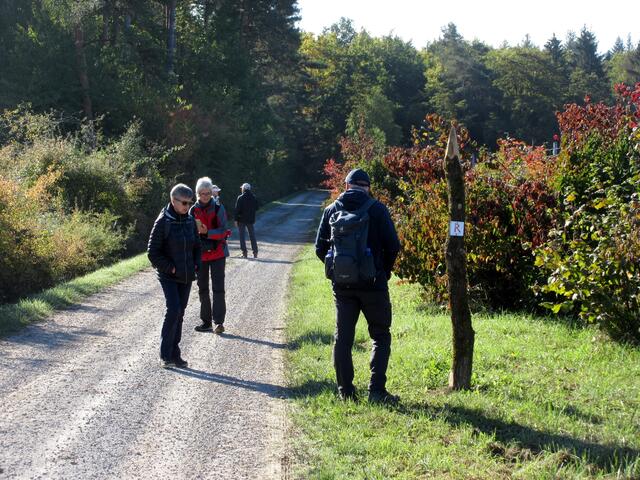 In sehr flottem Tempo ging es gegen 10:30 Uhr los, weil bei 7 Grad erst mal allen kalt war. Auch die Schatten waren noch sehr lang.