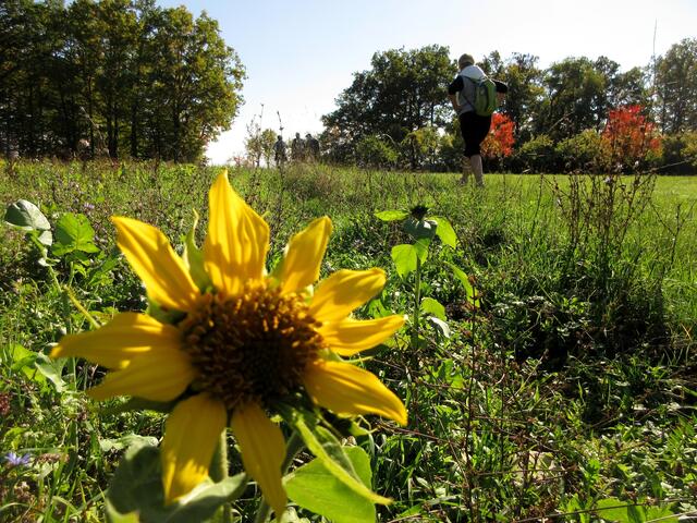 Der frühe Herbst und späte Sommer ist einen wunderbare Wander-Jahreszeit.