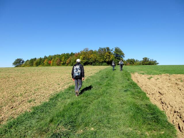 Dort oben am Waldrand war es dann soweit. Einfach ins Gras gesetzt und Brotzeit ausgepackt.