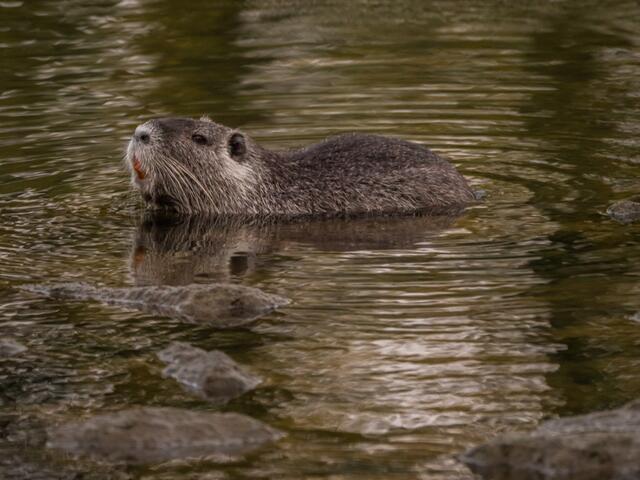 Ich zeig mal die Zähne!!!!