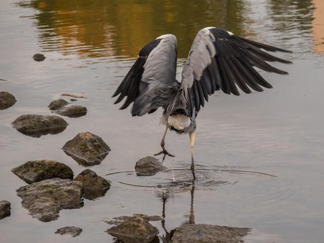 Besser doch den Abflug machen