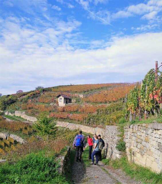 " Goldener Oktobertag"