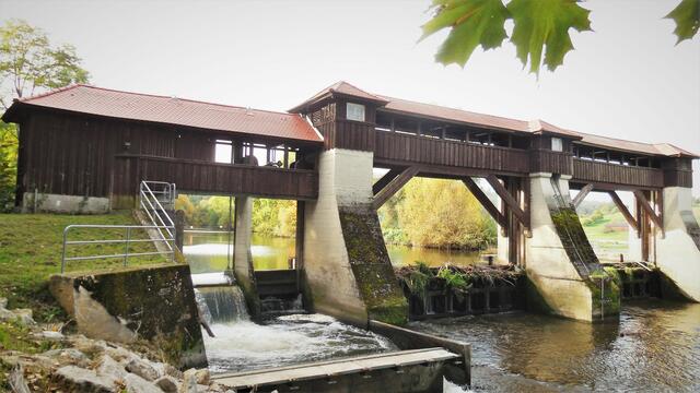 Das Enzstauwehr mit Fischtreppe bei Mühlhausen.