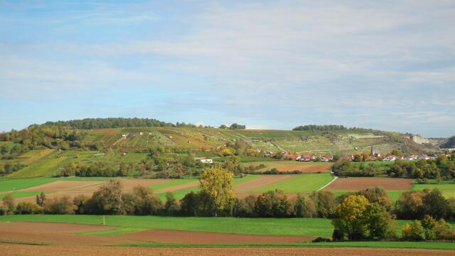 Die Weinberg Steillagen mit den vielen kunterbunten Wengerthäuschen - Blick von der Weidachhütte.