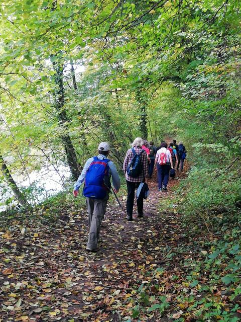 Durch den verträumten Herbstwald.