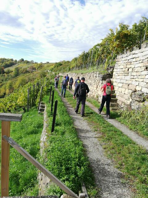 Entlang der Weinbergmauern