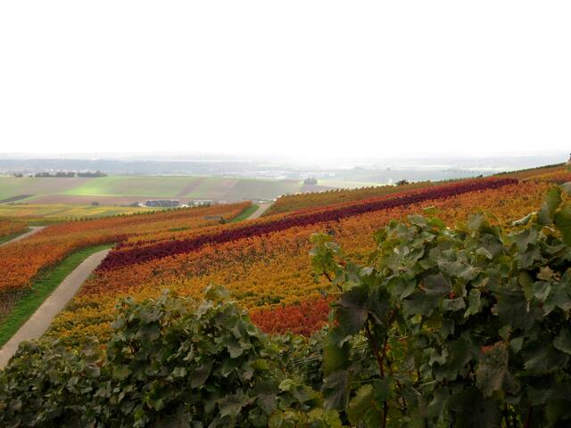 Diese Farben! Und das obwohl es morgens noch alles im Nebel lag und die Sonne sich erst ganz langsam durch die Wolken schiebt.
