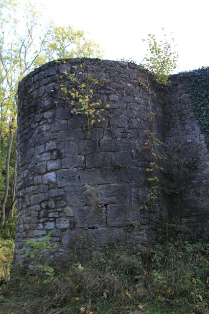 Blick auf Schloß Tierberg