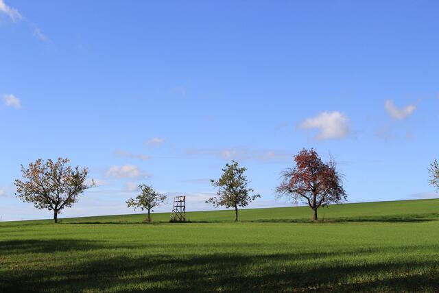 was für eine tolle Aussicht