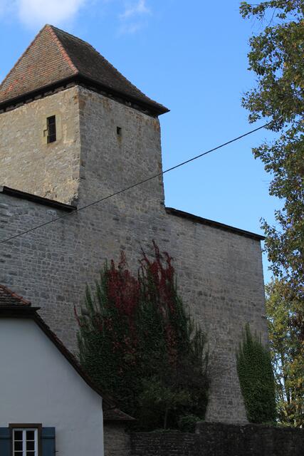 Blick auf Schloß Tierberg