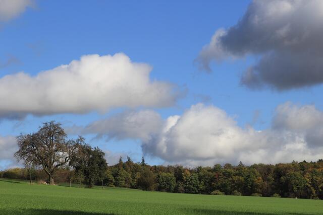 der Hammer die Aussicht