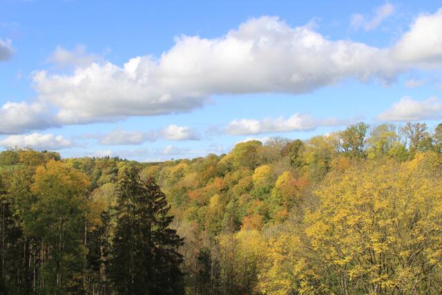 was für eine Traumlandschaft/ Aussicht😍