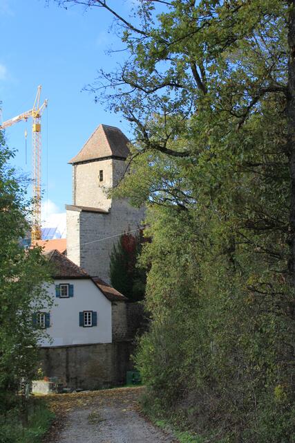 Blick auf Schloß Tierberg
