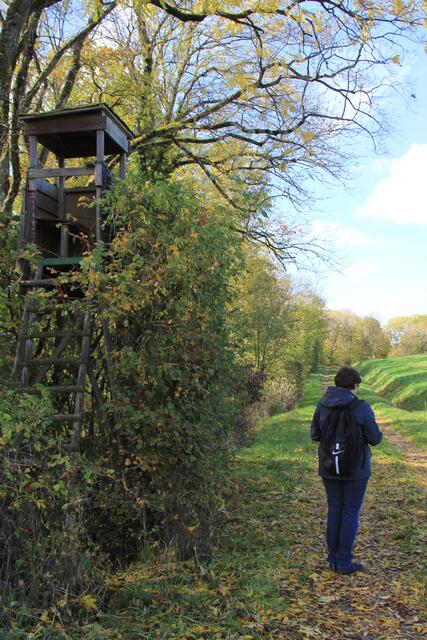 Schatzi voraus😍😍