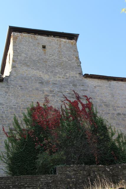 Blick auf Schloß Tierberg