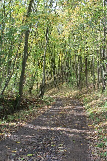 da sind wir nicht runter. Zu steil
