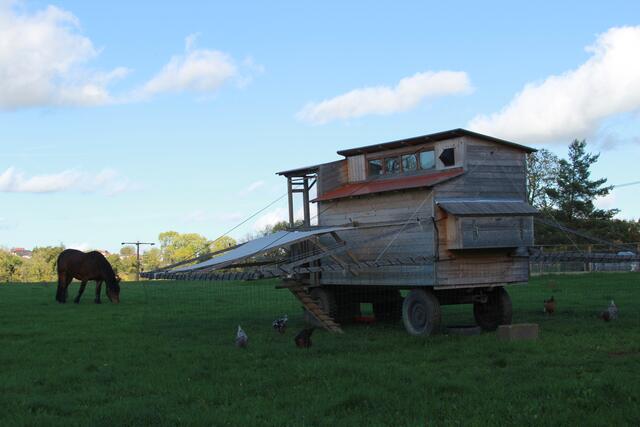 Hühner mobil+ Pferd