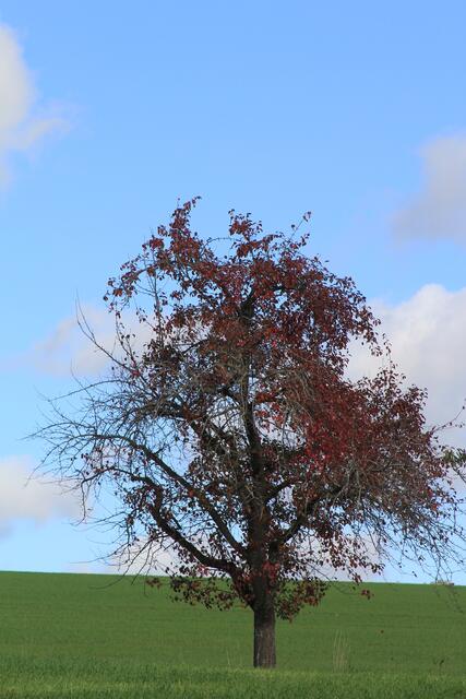 die Farben sind so schön