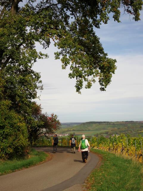 Blick nach Norden über Adolzfurt hinweg