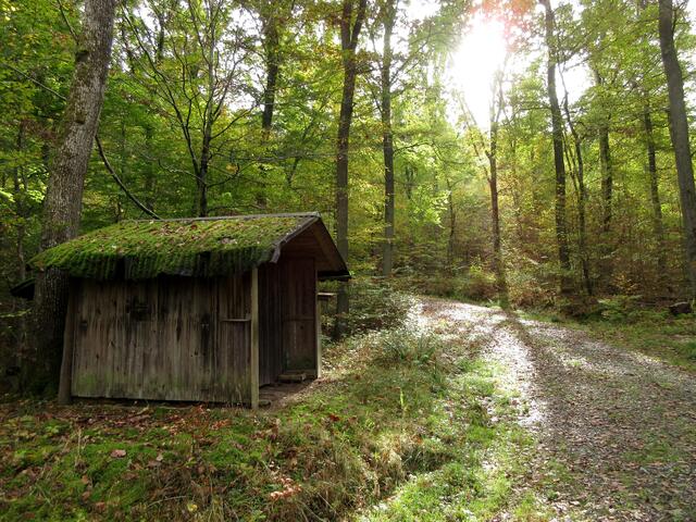 Hütte auf dem Scheppacher Schlossweg