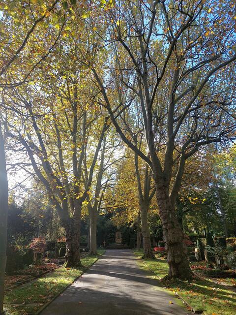 Herbst im Hauptfriedhof Heilbronn