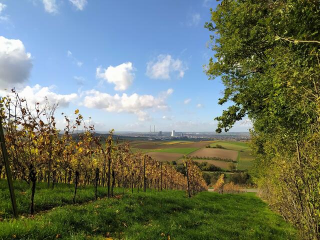 Einer der genialen Ausblicke, wenn man vom Wald in die Weinberge hinauskommt - das Neckartal und Heilbronner Land liegen zu Füßen.  | Foto: sigischlottke