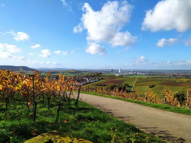 Wartberg, Stiftsberg und natürlich das unübersehbare Kohlekraftwerk. Im Osten schließt sich noch der Scheuerberg an, hier allerdings nicht zu sehen.   | Foto: sigischlottke