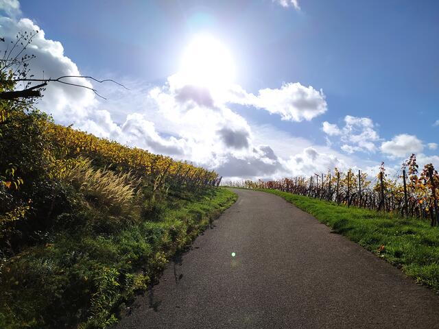 Anfang November und so herrlich warm - der Weg führt geradewegs zur Sonne. | Foto: sigischlottke