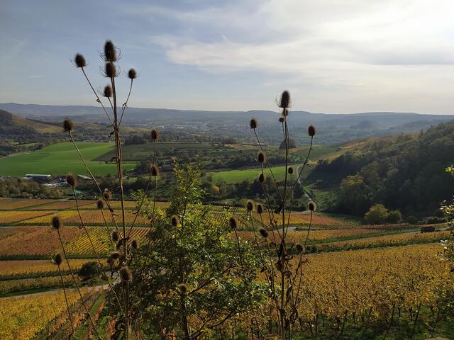 Der Blick reicht bis zu den Löwensteiner Bergen | Foto: sigischlottke