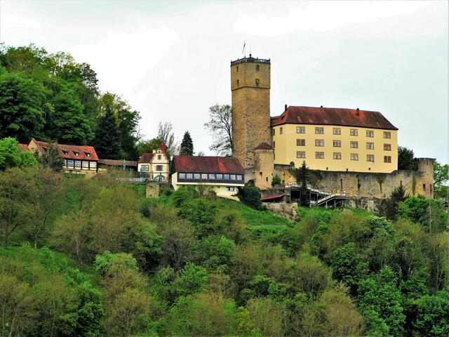 Burg Guttenberg