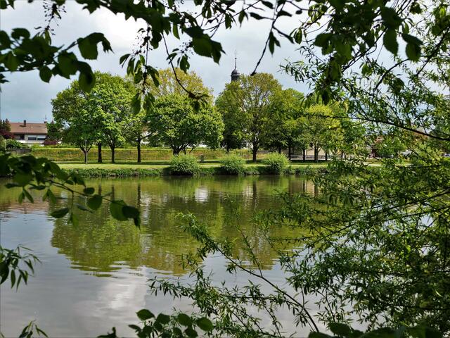 Neckar in Offenau