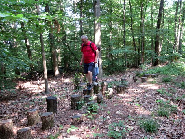 Die Angebote am Waldlehrpfad werden mit einbezogen