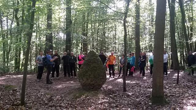 Die Strecken sind ganz unterschiedlich und nebenbei lernt man den Heilbronner Wald kennen.