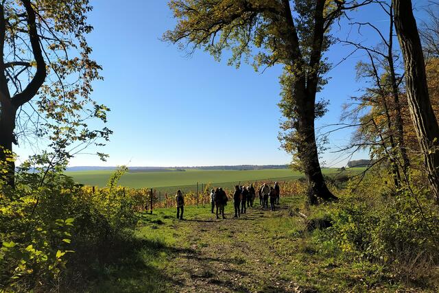 Da steht die Wanderschar schon in der warmen Sonne und genießt den Anblick der goldenen Reben und der weiten Landschaft
