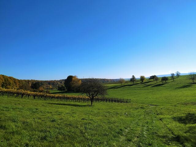 So tolle Blicke über die weite Landschaft.....