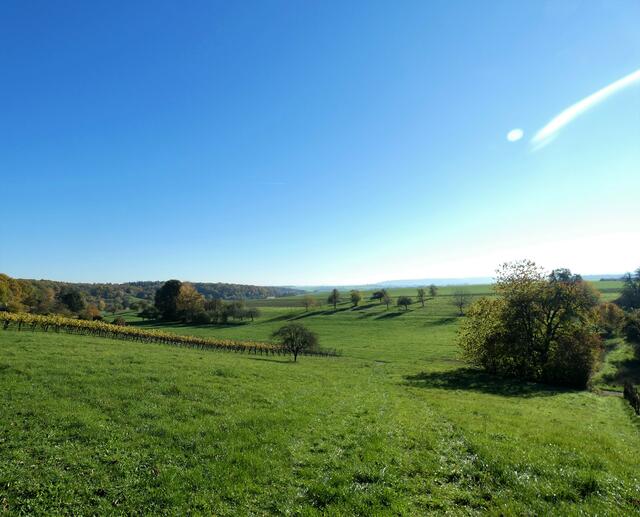 Sanft hügelige Wiesenlandschaft und weite Ausblicke bei Massenbachhausen 