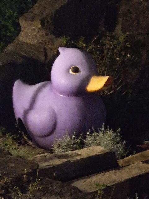 Im Außenbereich des Weinguts. | Foto: Daniela Somers