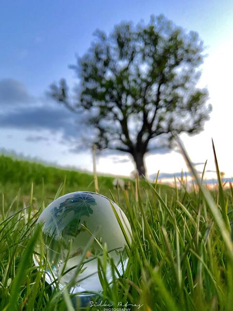 Foto: Silke Petras