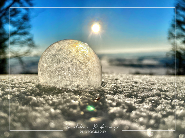 Foto: Silke Petras